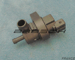 Electrovanne Canister CEV5013 - Ref 196009BR Bresch SAS
