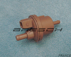 Electrovanne Canister 806000000028 - Ref 196014BR Bresch SAS