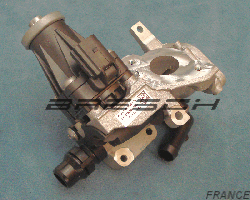Vanne Egr Elect G4D39D475BC - Ref 241303 Bresch SAS
