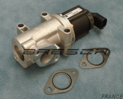 Vanne EGR Electrique 677890DP - Ref 241485 Bresch SAS