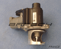 Vanne EGR Electrique 88214 - Ref 241512 Bresch SAS
