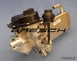 Module EGR complet 88200R - Ref 241539 Bresch SAS