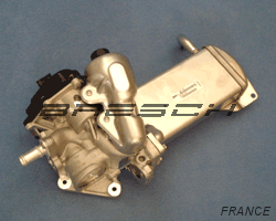 Module EGR complet 040064N - Ref 241540 Bresch SAS