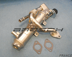 Refroidisseur Egr 831493AS - Ref 248614 Bresch SAS
