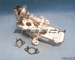 Refroidisseur Egr  147353806R - Ref 248635BR Bresch SAS