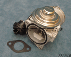 Vanne EGR + Papillon Etouffoir AV6010 - Ref 250222 Bresch SAS