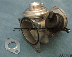 Vanne EGR + Papillon Etouffoir 88101E - Ref 250228 Bresch SAS