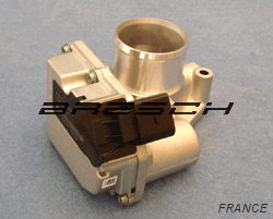 Corps Papillon ACM096 - Ref 250246 Bresch SAS