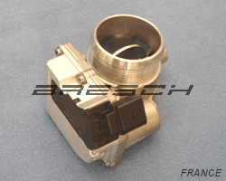 Corps Papillon ACM074 - Ref 250252 Bresch SAS