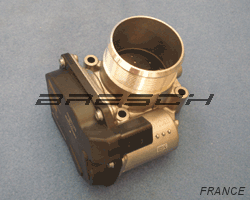 Corps Papillon 06F133062G - Ref 250253 Bresch SAS