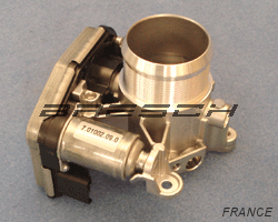 Corps Papillon EE7639 - Ref 250256 Bresch SAS
