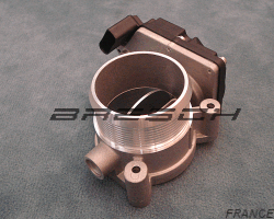 Corps Papillon 240640311 - Ref 250298 Bresch SAS