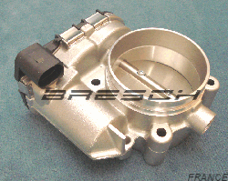Corps Papillon 079133062C - Ref 250351 Bresch SAS
