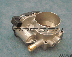 Corps Papillon ACM110 - Ref 250424BR Bresch SAS