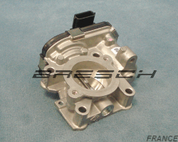 Corps Papillon FLAI527N - Ref 250436BR Bresch SAS