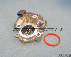 Corps Papillon 161A05894R - Ref 250445BR Bresch SAS