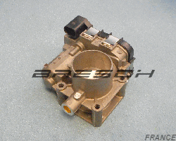 Corps Papillon 44GTE3F2 - Ref 250456BR Bresch SAS