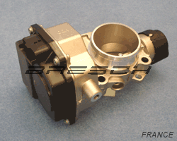 Corps Papillon IMP8200243886 - Ref 250503 Bresch SAS