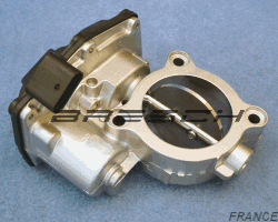 Corps Papillon 88155R - Ref 250519 Bresch SAS