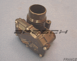 Corps Papillon CF19557 - Ref 250525 Bresch SAS