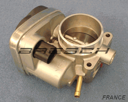 Corps Papillon ACM042 - Ref 250601 Bresch SAS