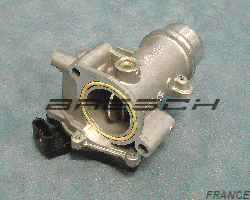Corps Papillon FLAI537N - Ref 250687BR Bresch SAS