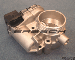 Corps Papillon 0000163669 - Ref 250719 Bresch SAS