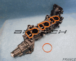 Collecteur Admission + Moteur 250753BR - Bresch SAS