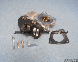 Corps Papillon 48CPD6 - Ref 250852 Bresch SAS