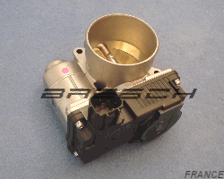 Corps Papillon RME6005E - Ref 250863 Bresch SAS