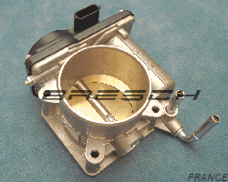 Corps Papillon ACM187 - Ref 250880 Bresch SAS
