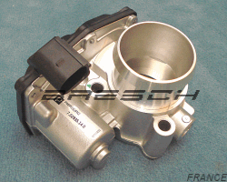 Corps Papillon 70293505 - Ref 250887 Bresch SAS