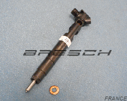 Injecteur Commonrail DELPHI Ech. Std. EMBR00002D - Ref 280191ES Bresch SAS