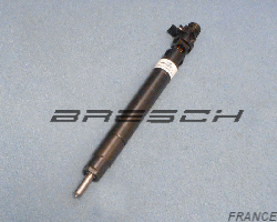 Injecteur Commonrail DELPHI Ech. Std. EMBR00101DP - Ref 280521ES Bresch SAS