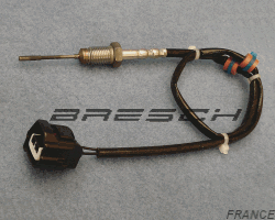 Capteur Température Echappement 411420717 - Ref 380257 Bresch SAS