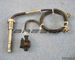 Capteur Température Echappement 411420183 - Ref 380279 Bresch SAS