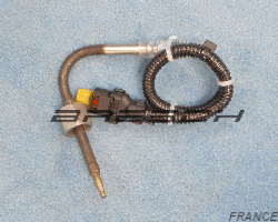 Capteur Température Echappement 411420712 - Ref 380384 Bresch SAS