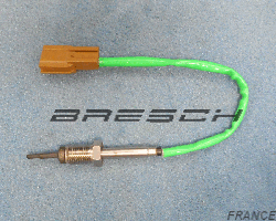Capteur Température Echappement 226404367R - Ref 380450 Bresch SAS