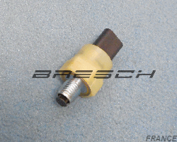 Capteur Pression Huile Moteur 417536BR - Bresch SAS