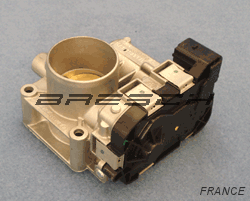 Corps Papillon 88488R - Ref 44SMF9 Bresch SAS