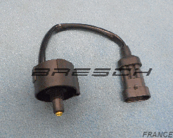 Capteur Presence Eau 730027BR - Bresch SAS