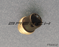 Capteur Température Eau 700044 - Ref 82039 Bresch SAS